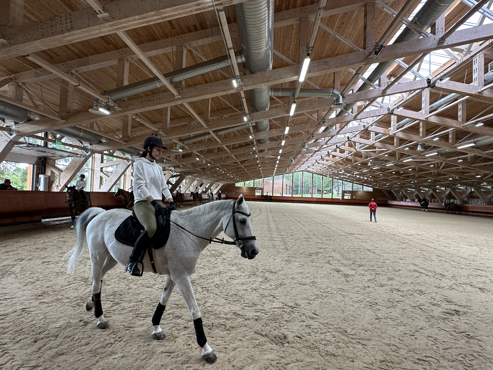 Hunter Creek Farm: Excellence in Equestrian Training